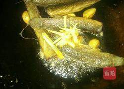 红烧泥鳅的做法图解6