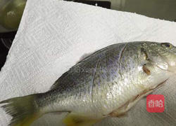 煎黄翅鱼的做法图解6