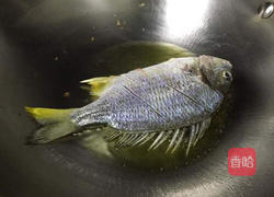 煎黄翅鱼的做法图解7