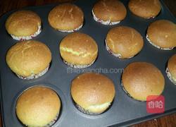 蓝莓芝麻纸杯蛋糕的做法图解13