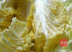 自制辣白菜的做法图解2