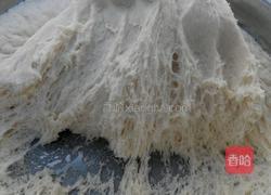 香菇胡萝卜鲜肉包的做法图解16