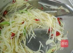 清炒土豆丝～鲁菜的做法图解7