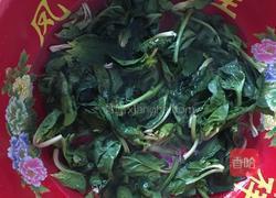 凉拌菠菜的做法图解1