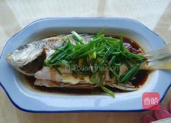 清蒸黄翅鱼的做法图解5