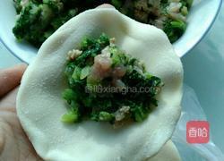 东北大馅水饺的做法图解9