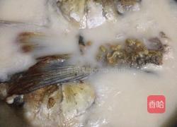 鱼头豆腐汤的做法图解3