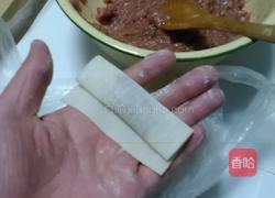 花样馄饨的做法的做法图解3