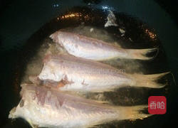 香煎黄花鱼的做法图解4