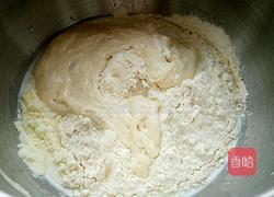 波兰酵种奶香土司的做法图解5