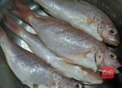 干煎金线鱼的做法图解1