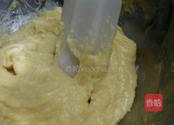 纽花泡芙的做法图解5