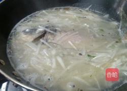 萝卜丝鲫鱼汤的做法图解8
