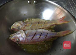 煎金丝鱼的做法图解7