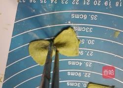 菠菜蝴蝶结面的做法图解5