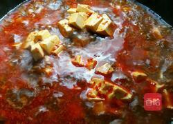 麻辣豆腐的做法图解8