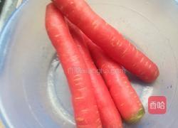 童子骨炖胡罗卜的做法图解4