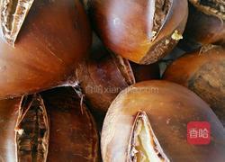 蒸板栗的做法图解5