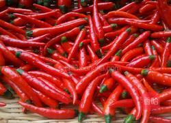 剁辣椒的做法图解2