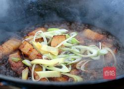 大白菜燉紅燒肉的做法圖解8