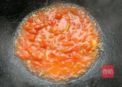 西红柿炒卷心菜的做法图解6