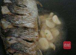 鲫鱼萝卜汤的做法图解6