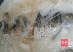 鲫鱼萝卜汤的做法图解11