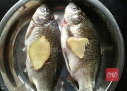 鲫鱼豆腐的做法图解2