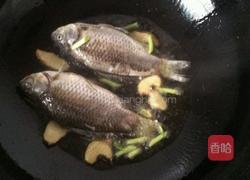 鲫鱼豆腐的做法图解4