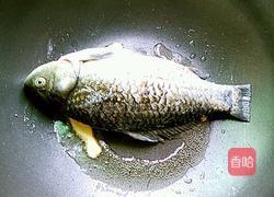 鲫鱼豆腐汤的做法图解4