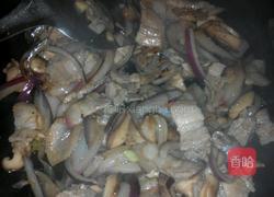 洋葱香菇炒肉片的做法图解6