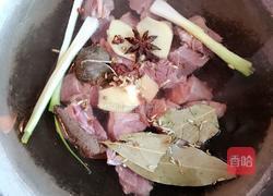 胡萝卜翻茄煲牛腩的做法图解5