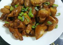 红烧鸡肉