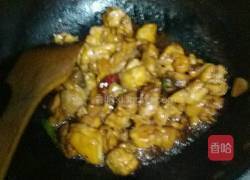 红烧鸡肉的做法图解8