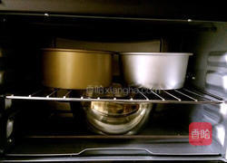 柔软椰蓉包的做法图解14