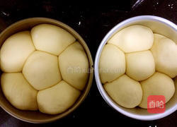 柔软椰蓉包的做法图解15