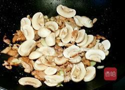 肉片双椒烧口蘑的做法图解4