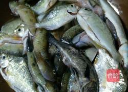 海杂鱼汤的做法图解1