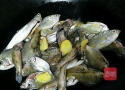 海杂鱼汤的做法图解3