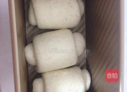 全麦淡奶油吐司的做法图解5