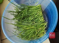 小麦草鲜肉饼的做法图解2