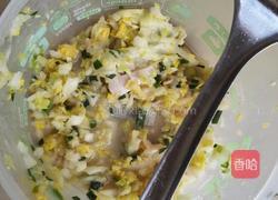 小麦草鲜肉饼的做法图解7