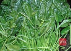 胡萝卜炒菠菜的做法图解4