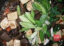 麻辣红白豆腐的做法图解9