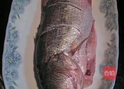 红烧鲈鱼的做法图解1