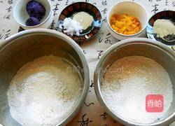 南瓜紫薯双色卷的做法图解1