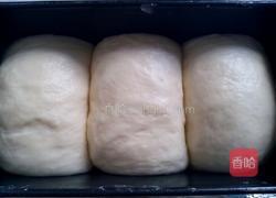 葡萄干吐司的做法图解7