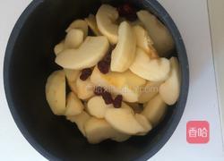 营养苹果羹的做法图解2