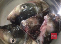 鲜天麻炖鱼头的做法图解6