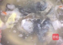 鲜天麻炖鱼头的做法图解10